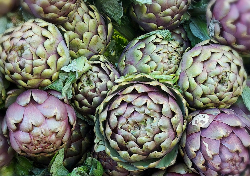 Artichokes