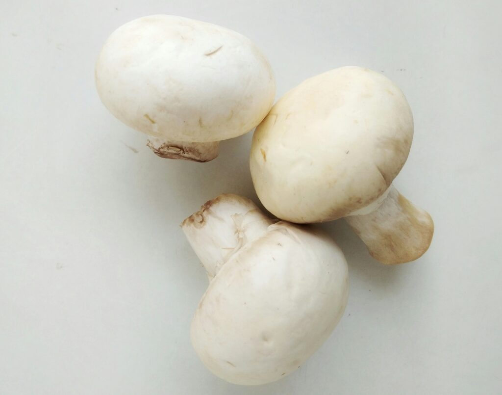 Health Benefits of Mushroom