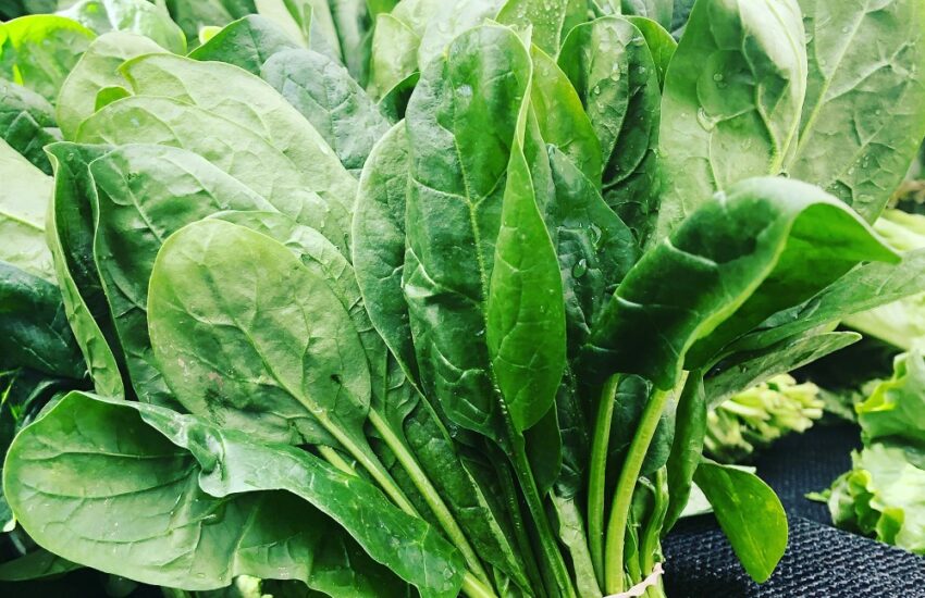 why spinach is super healthy