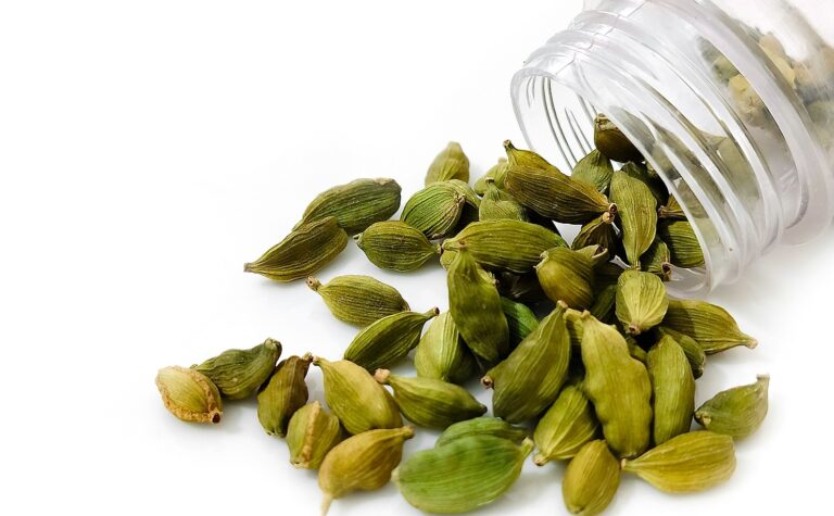 Cardamom Water